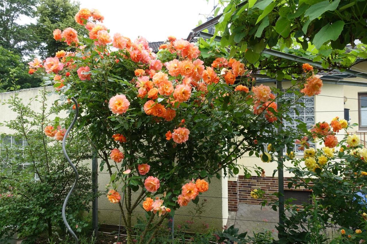 Ferienwohnung Storchennest In Itzgrund-Kaltenbrunn Kaltenbrunn  外观 照片